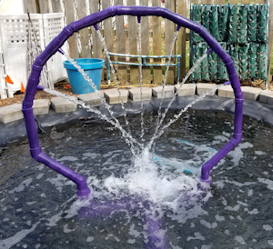 Fountain 2018