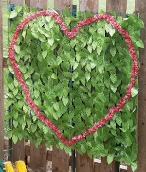 New Heart Wall