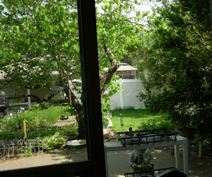 Small Image