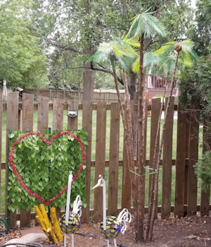 Palm Trees