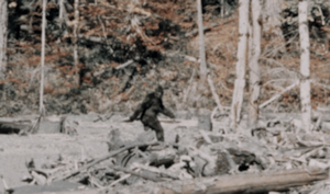 Small Image