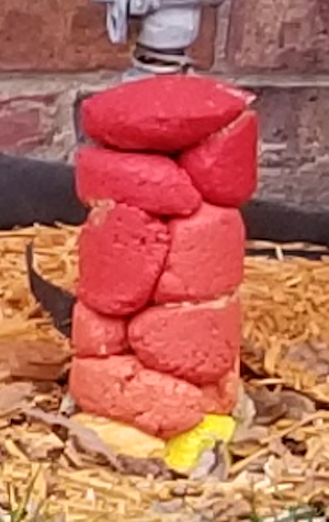 ShortStack