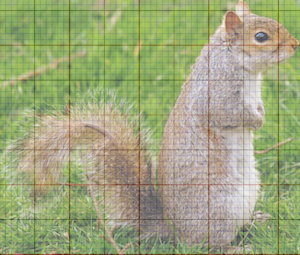 Small Image